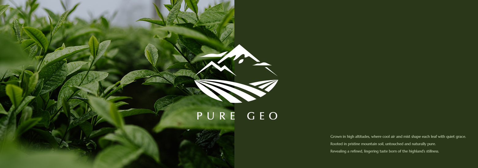 Pure Geo 喬治亞茶葉電腦版主視覺