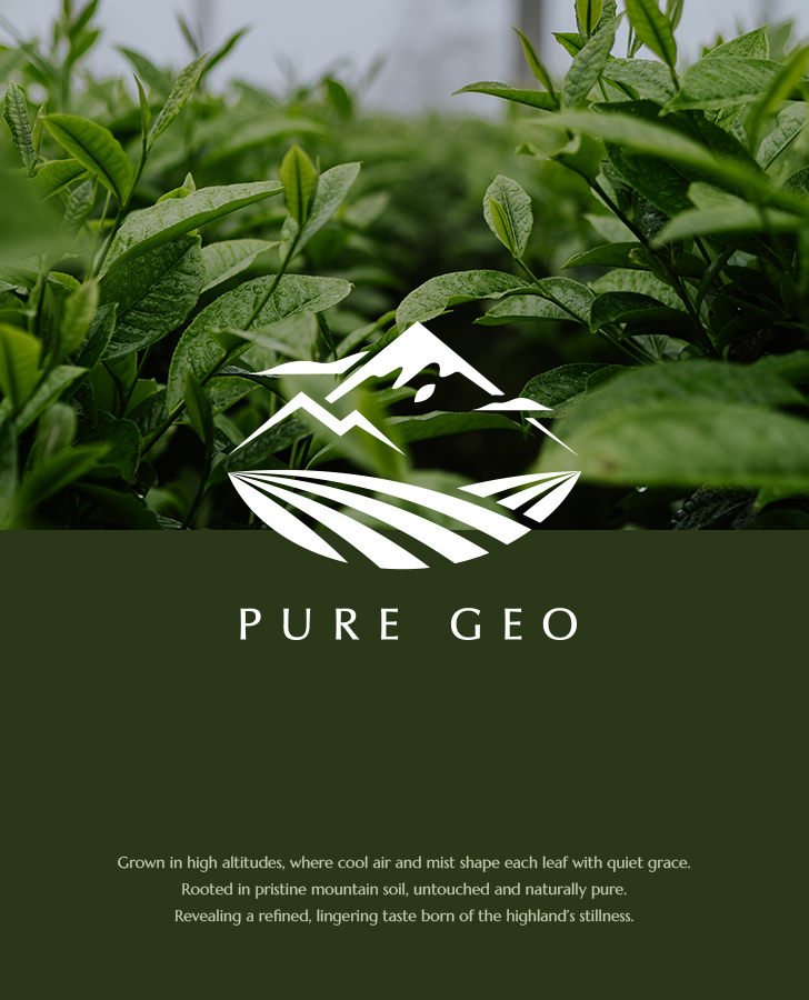 Pure Geo 喬治亞茶葉手機版主視覺